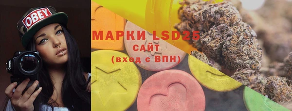 прущая мука Бородино