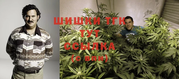 крисы Богданович