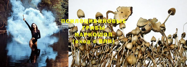 прущая мука Бородино